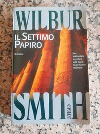 libro il settimo papiro