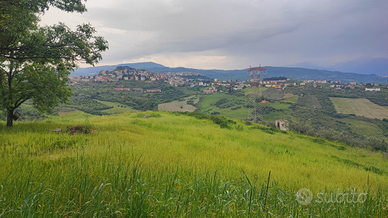 Terreno edificabile con progetto approvato