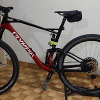 MTB OLYMPIA CARBON in GARANZIA