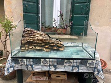 Acquario per tartarughe