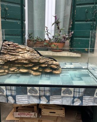 Acquario per tartarughe