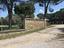 Immagine 11