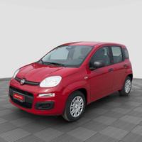 FIAT Panda Pandina 1.0 FireFly 65 CV Hybrid Pop