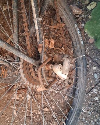 bicicletta 26 atala