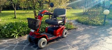 Carrozzina elettrica per anziani celebroty de luxe