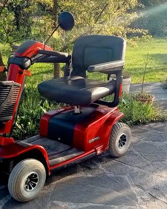 Carrozzina elettrica per anziani celebroty de luxe