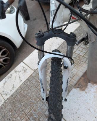 Mountain bike