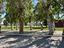 Immagine 12