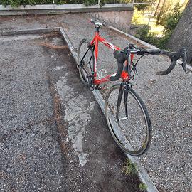 Bottecchia 