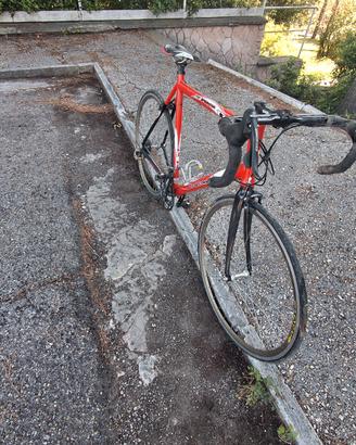 Bottecchia 