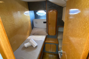 Piantoni 45 fantasy fly