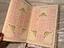 Immagine 3