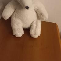 peluche orso