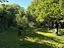 Immagine 27