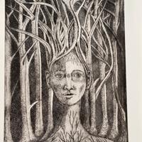 Incisione acquaforte tiratura limitata