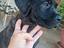 Immagine 3