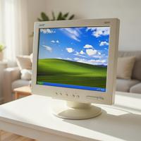 Monitor 15 pollici Acer