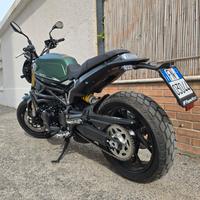 Benelli leoncino 800