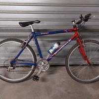 MTB Diamondback vintage