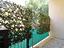 Immagine 11
