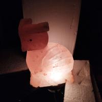 lampada di sale -Gufo