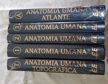 Anastasi Anatomia Umana 