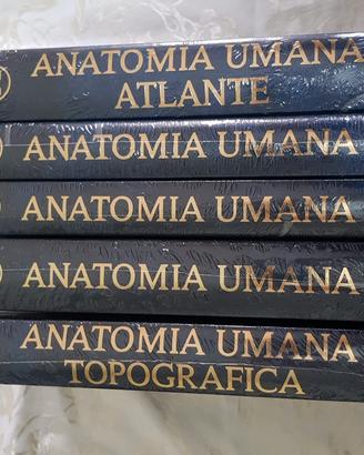 Anastasi Anatomia Umana 