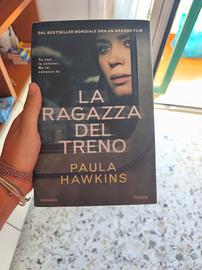 la ragazza del treno