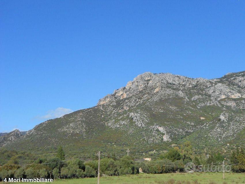 Terreno Loc. Funtana Marzu mq. 10000 - Altro