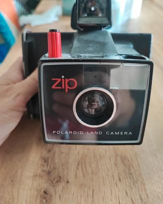 zip Land camera polaroid 