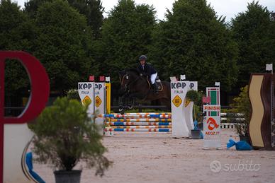 Cavallo