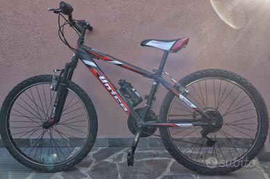 Mountain bike bimbo 24