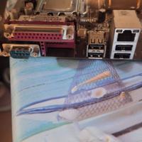 Scheda madre asus p5kpl se con processore