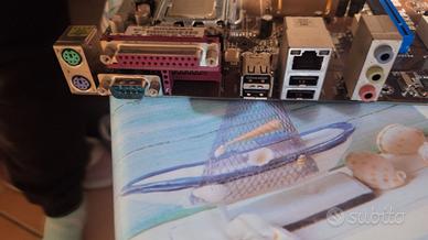 Scheda madre asus p5kpl se con processore