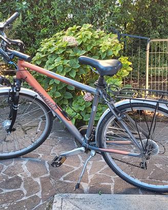 Bicicletta da uomo