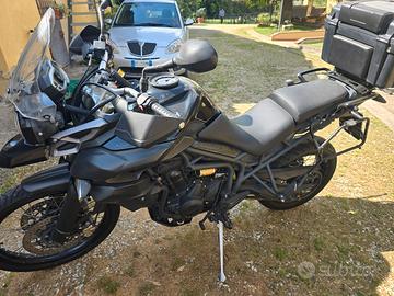 Triumph Tiger 800 - 2014