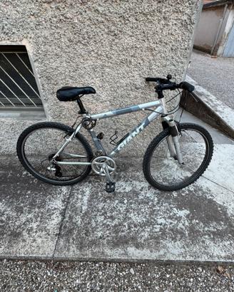 Bicicletta MTB Giant