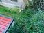 Immagine 21