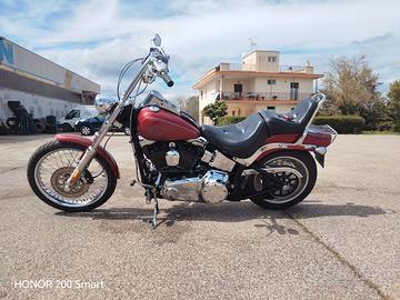 Harley Davidson softail