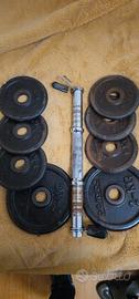 2 Manubri con 10 kg di pesi
