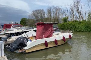 Barca da pesca e diporto a motore