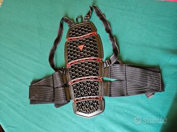 Paraschiena Pro Armor Long 2.0 - DAINESE
S/m