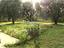 Immagine 22