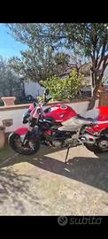 mv agusta 1078 brutale