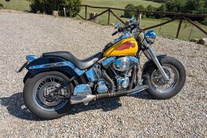 Harley Davidson Softail Heritage 