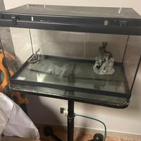 Acquario tropicale completo