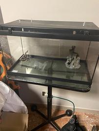 Acquario tropicale completo