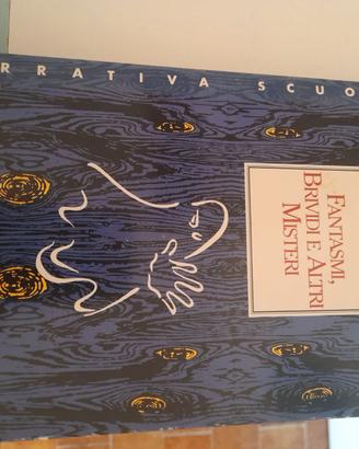 Libro "fantasmi,brividi e altri misteri "