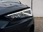 Immagine 9