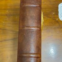 San Franceso d'Assisi, volume Arte Scripta